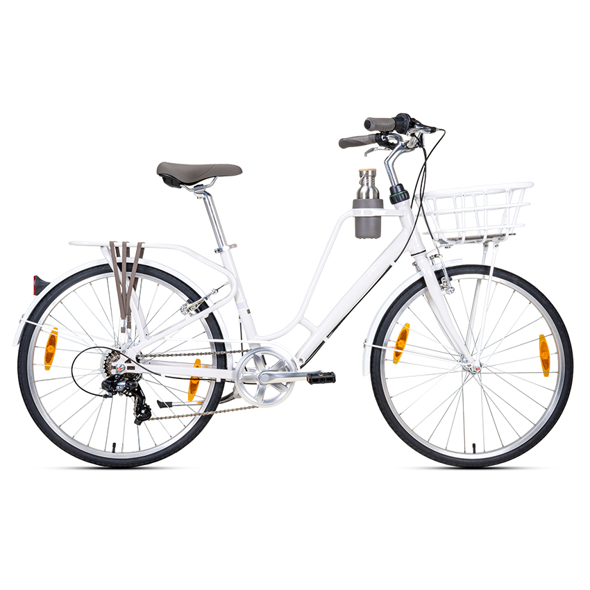 xe đạp nữ thời trang đi làm